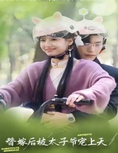 替嫁后被太子爷宠上天(全集)