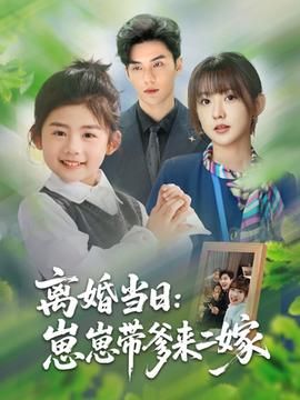 离婚当日崽崽带爹来二嫁(全集)